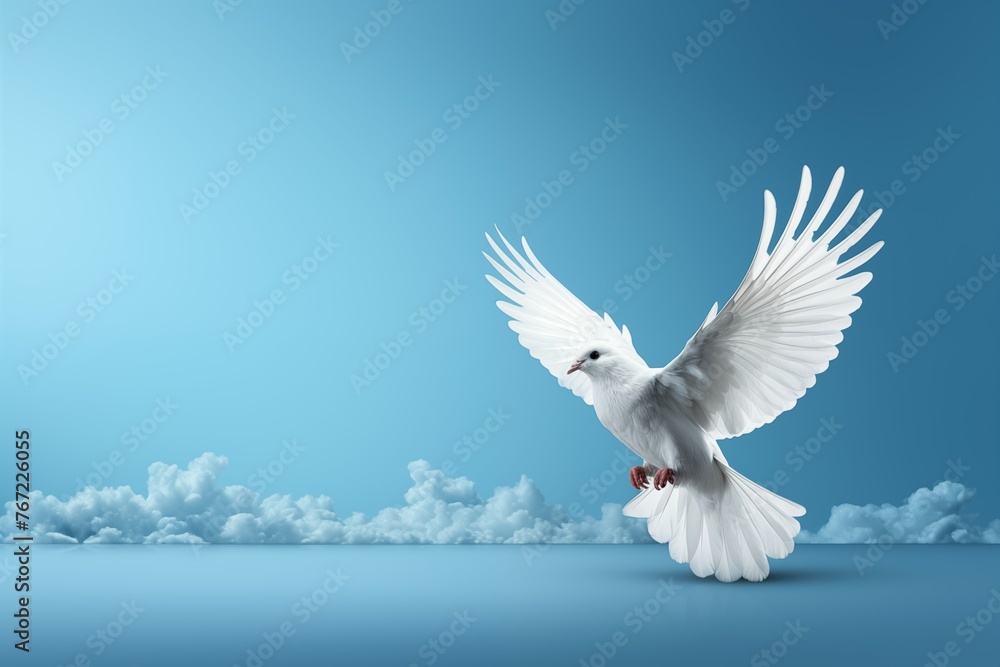 Obraz premium white dove flying free on light and soft blue and white background for freedom and relax design