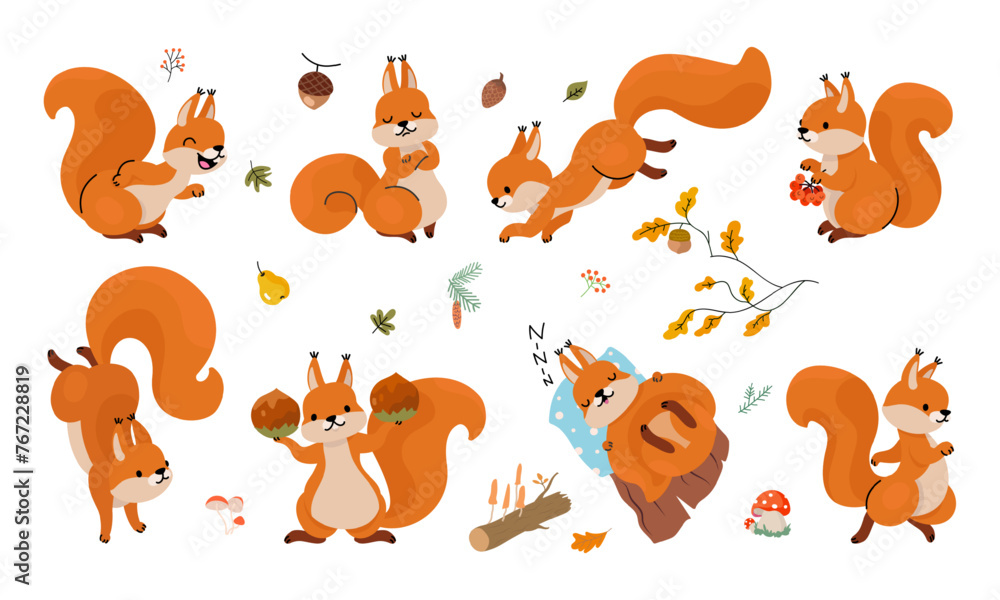 Funny squirrel. Cartoon forest red squirrels with nuts. Emotional animal run, jump, sleep and laughing. Cute children mascots nowaday vector clipart Funny squirrel. Cartoon forest red squirrels with nuts. Emotional animal run, jump, sleep and laughing. Cute children mascots nowaday vector clipart