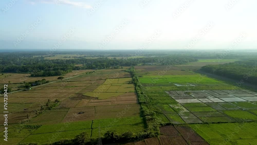 Hover over Palawan's agricultural heartland in this drone footage, where a tapestry of cultivation unfolds in a myriad of greens, a testament to the island's farming heritage. Hover over Palawan's agricultural heartland in this drone footage, where a tapestry of cultivation unfolds in a myriad of greens, a testament to the island's farming heritage.