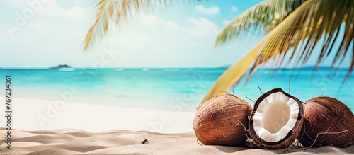 Coconuts on beach with boat in background