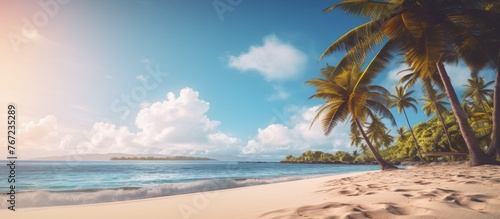 A serene tropical beach featuring palm trees against a backdrop of the ocean, with clear blue skies, fluffy clouds, and a peaceful natural landscape