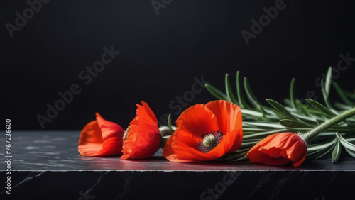 Red poppies and rosemary sprigs on a black granite monument. Remembrance Day greeting card. Lest we forget. Memorial on Anzac Day/ Banner