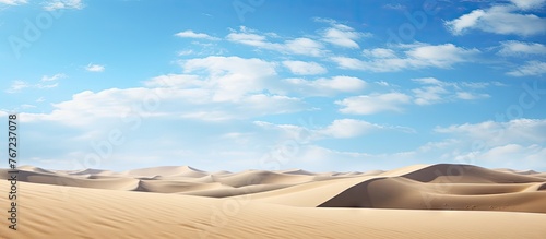 Giraffes in the arid landscape under a blue sky