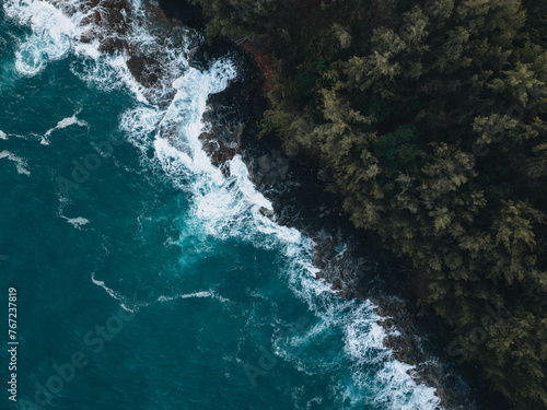 Hawaii coast from a drone