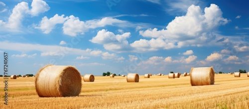 Hay bales in a field under a clear sky