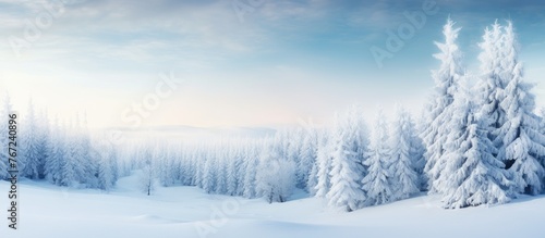 Snowy trees in a wintry landscape under a clear blue sky