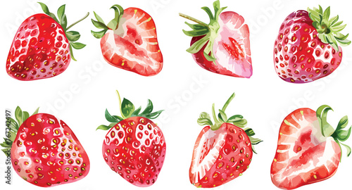 Fototapeta Naklejka Na Ścianę i Meble -  Fresh strawberry watercolor summer fruit hand painted. Vegetable red fruit summer isolated on white background. Red berry fruit vector illustration