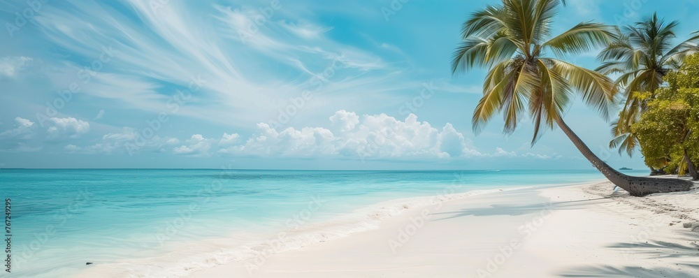 A beach on an exotic island, the blue sky,  and white sands create a picturesque scene. 