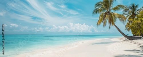 A beach on an exotic island, the blue sky, and white sands create a picturesque scene. 