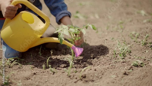 Mother planting tomato seedlings with son