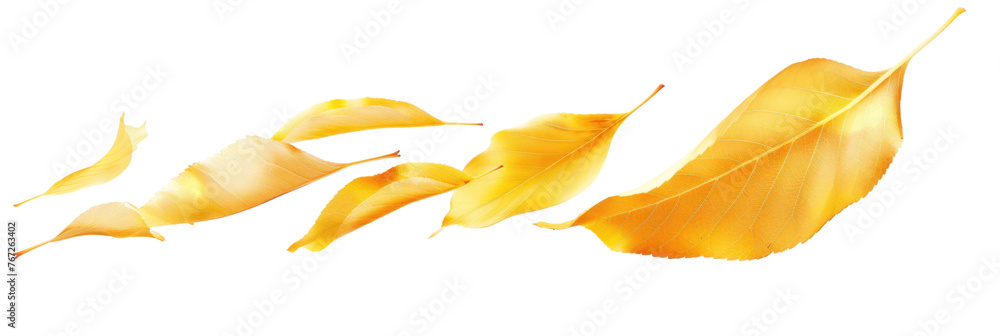 Twisting Autumn Leaves in Flight