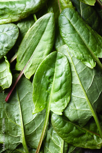 Fresh organic sorrel leaves close up. Nature texture of green sorrel. Food photography © Ivan Kmit