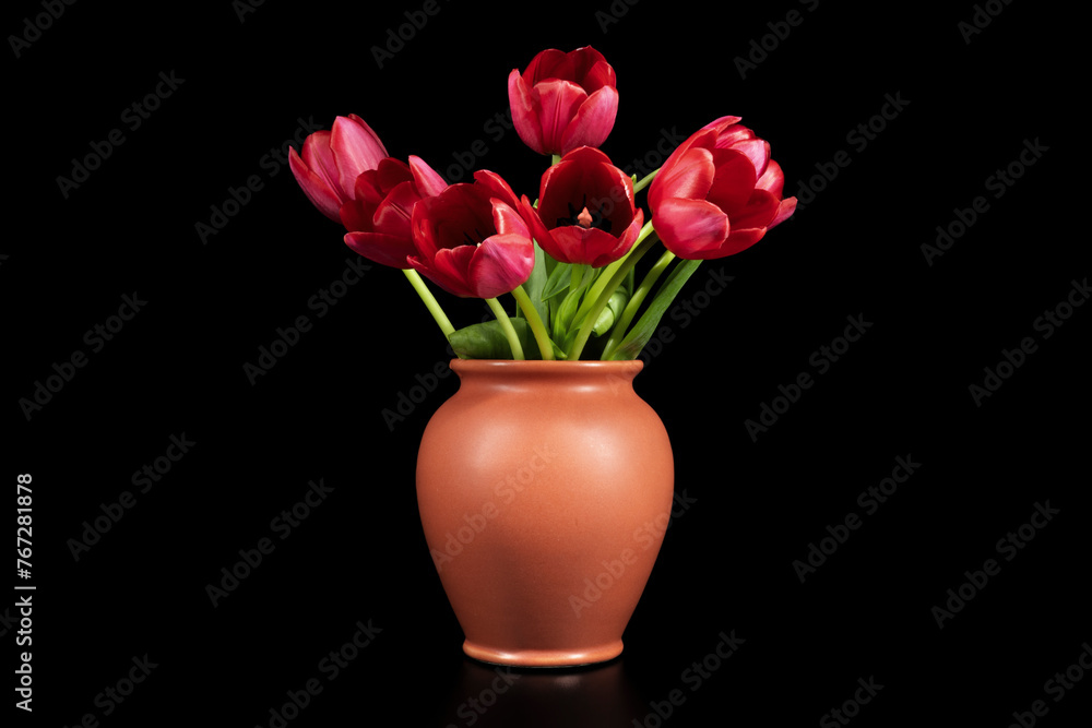 Tulips in a vase on a black background