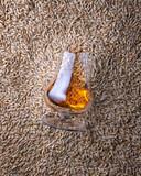 A glass of whiskey on barley grains as background, top view