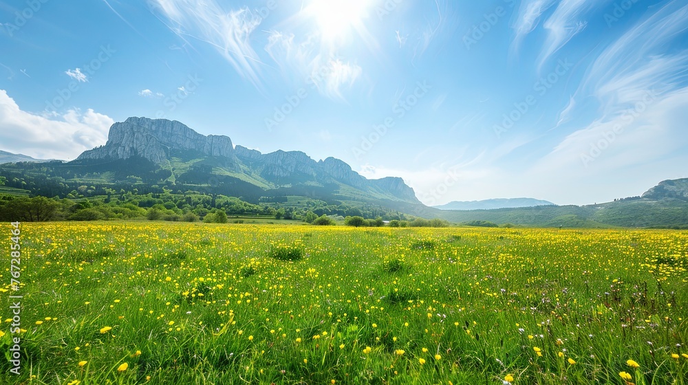 Top view of a lush green valley on a summer sunny day. Panoramic view with mountain ranges on the horizon. Nature background. Illustration for cover, card, postcard, interior design, decor or print. Top view of a lush green valley on a summer sunny day. Panoramic view with mountain ranges on the horizon. Nature background. Illustration for cover, card, postcard, interior design, decor or print.
