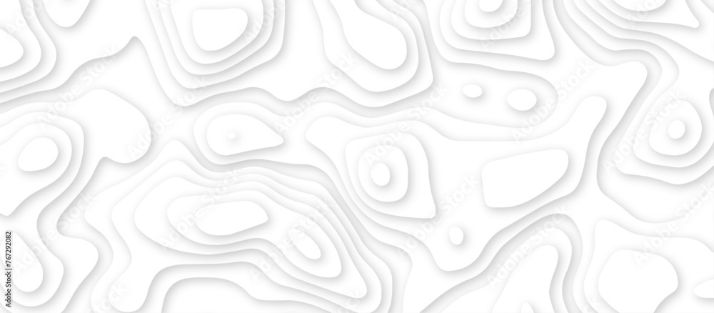 Abstract geometric layered curve line white background. 3d render, paper cut vector art background banner texture. multi layer cutout geometric patterns with smooth wavy layer. white background. Abstract geometric layered curve line white background. 3d render, paper cut vector art background banner texture. multi layer cutout geometric patterns with smooth wavy layer. white background.