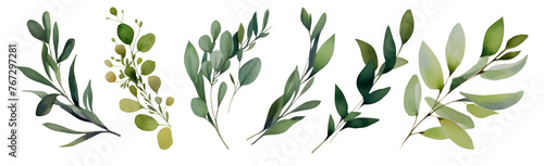Arrangement of stunning olive leaves Fascinating foliage, ideal for use on transparent backgrounds such as posters, brochures, greetings cards and seasonal decorations. PNG photo