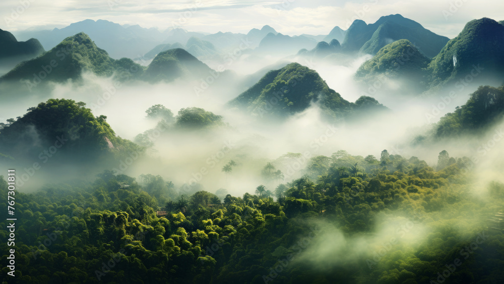 Flowing floating fog in high mountains rising above a green forest, dreamy serene landscape
