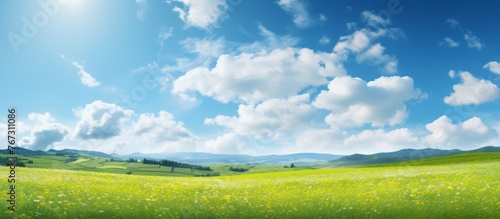 A vast expanse of grass in a grassland ecoregion  set against a blue sky with fluffy white cumulus clouds  creating a natural landscape