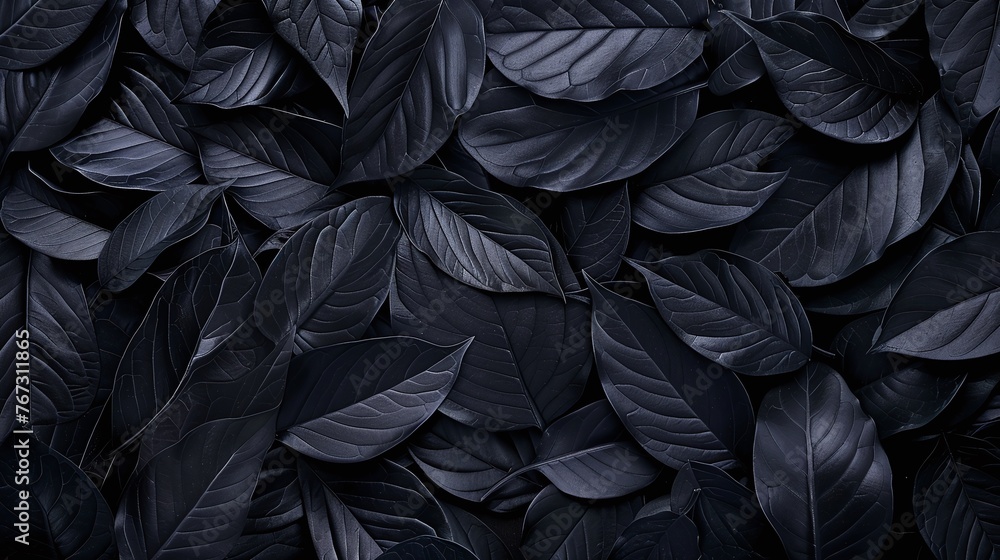 black tropical leaves with abstract textures, flat lay dark nature background and detailed leaf pattern, exotic botanical concept black tropical leaves with abstract textures, flat lay dark nature background and detailed leaf pattern, exotic botanical concept