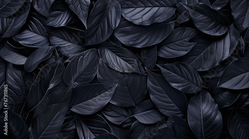 black tropical leaves with abstract textures, flat lay dark nature background and detailed leaf pattern, exotic botanical concept