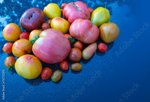 Group of colorful tomatoes on gray background.