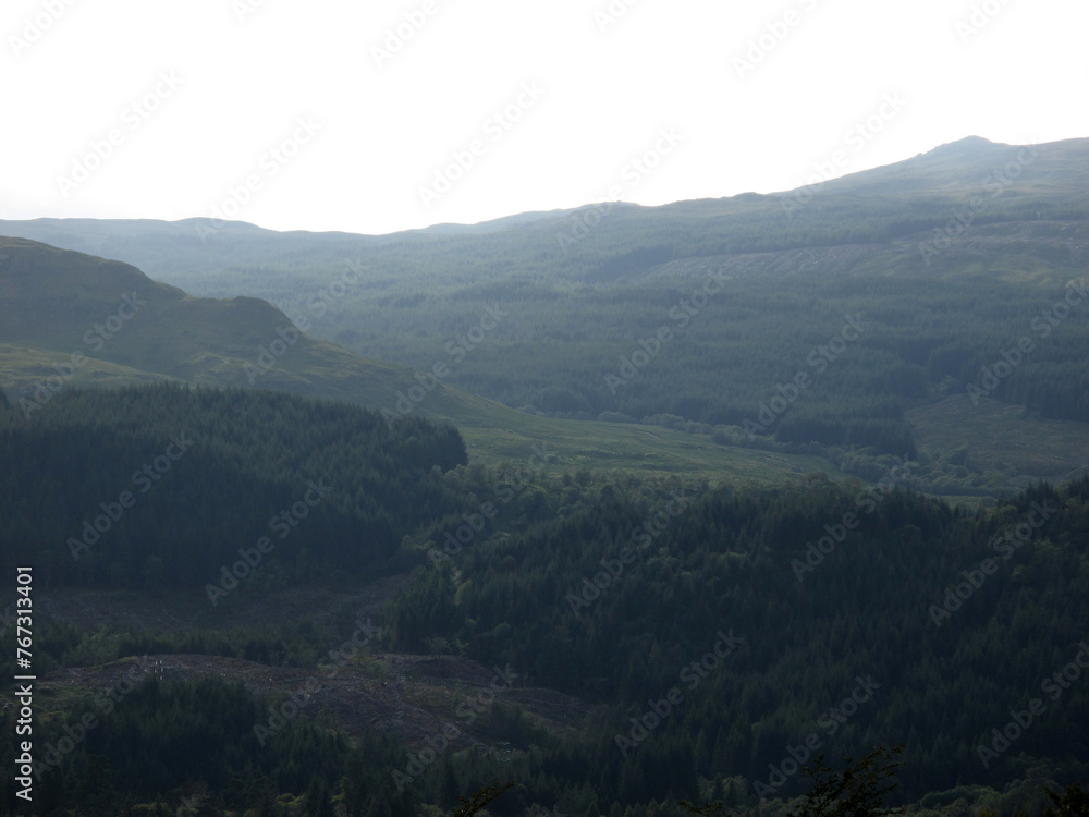 Forest viewed from Dun na Cuaiche - Inveraray -  Royal Burgh - Argyll and Bute - Scotland - UK