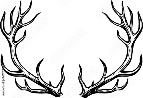Deer Antlers Vector 