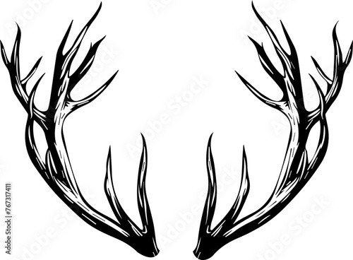 Deer Antlers Vector 