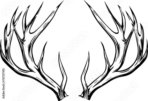 Deer Antlers Vector 
