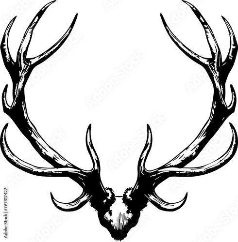 Deer Antlers Vector 