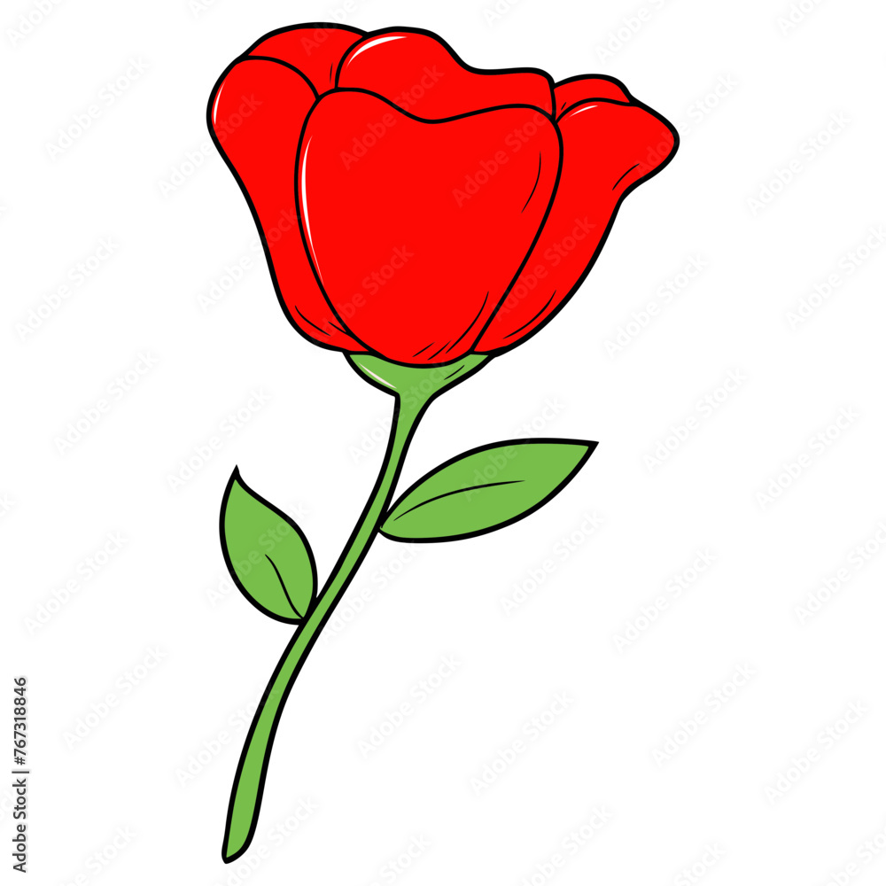 red rose flower illustration hand drawn isolated vector red rose flower illustration hand drawn isolated vector