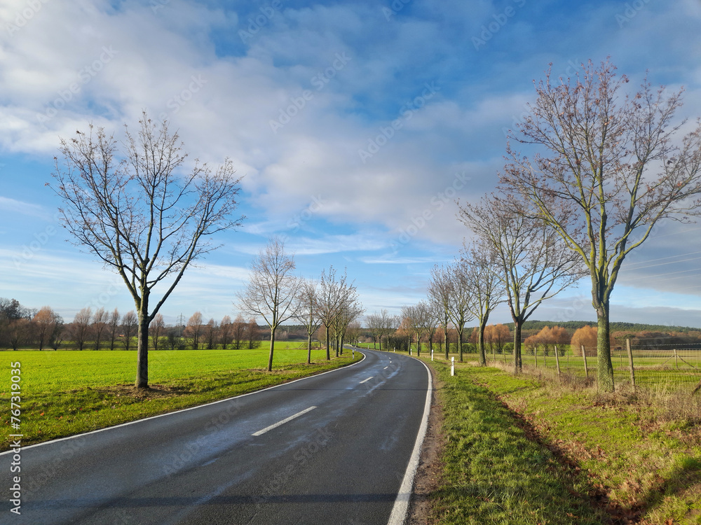 Fototapeta premium Landschaft mit Strasse