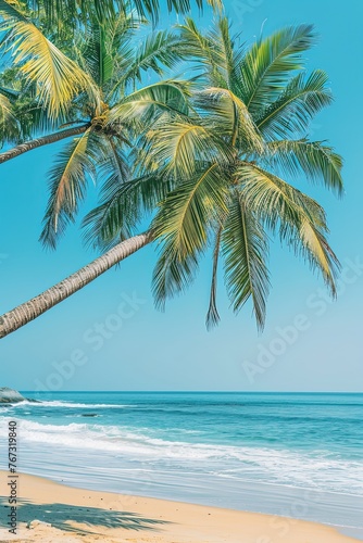 Coconut palm trees along the beach with blue sky background in sunny day. Dreamy vacation destination