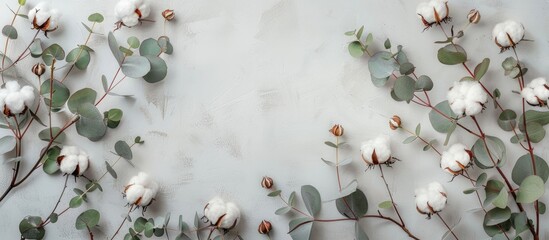Composition of flowers arranged in a flat lay. The frame consists of cotton flowers and fresh eucalyptus twigs on a light gray backdrop. View from above with space for text.