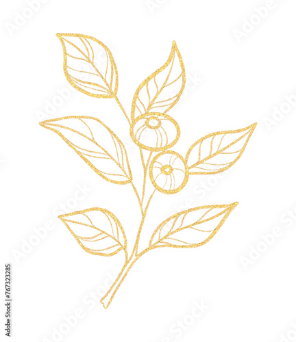 Gold outline clipart with blueberries isolated  © MariiaMart