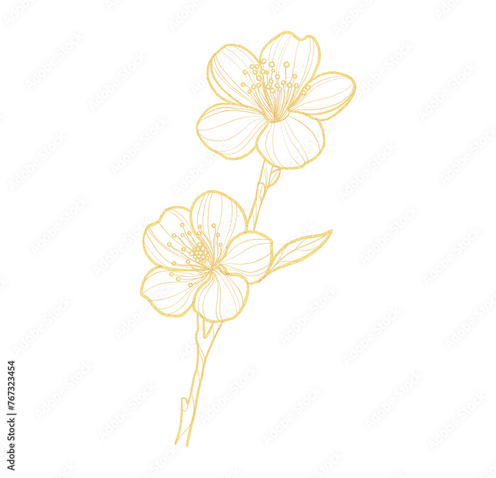 Gold outline illustration with spring sakura flower