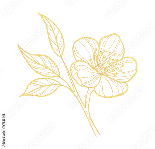 Gold outline illustration with spring flower
