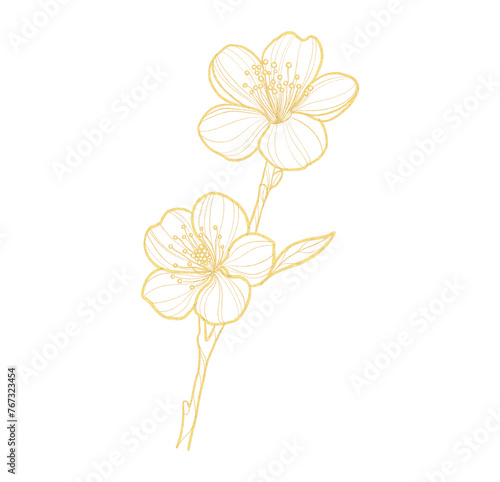 Gold outline illustration with spring sakura flower
