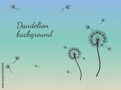 Dandelion_background8-41.eps