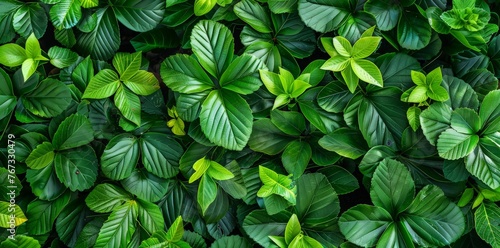 Detailed view of a green plant with lush leaves captured up close, showcasing its vibrant color and intricate textures
