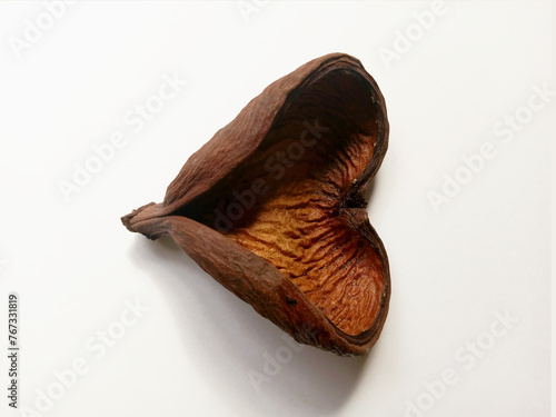 Samrong Seed Pod 3 photo