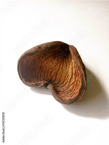 Samrong Seed Pod 1 photo