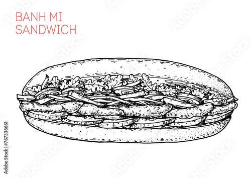 Banh mi sandwich sketch. Hand drawn vector illustration. Vietnamese food. not AI