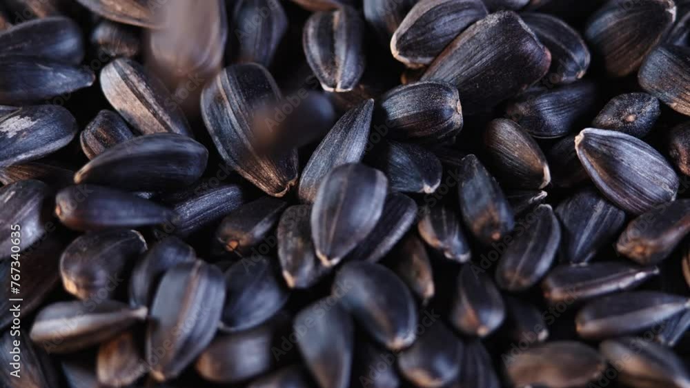 The sunflower seeds on a plate close-up. The sunflower seeds after harvest. Pile of Dried Sunflower Unpeeled Seeds, a Healthy Source of Vitamins in Vegan Food. The sunflower seeds on a plate close-up. The sunflower seeds after harvest. Pile of Dried Sunflower Unpeeled Seeds, a Healthy Source of Vitamins in Vegan Food.