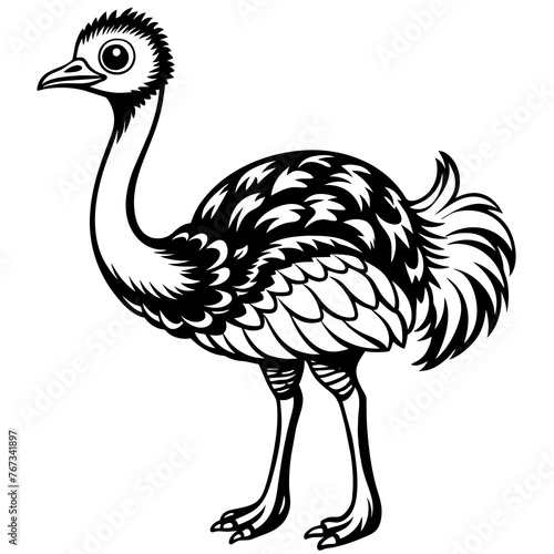 ostrich cartoon page