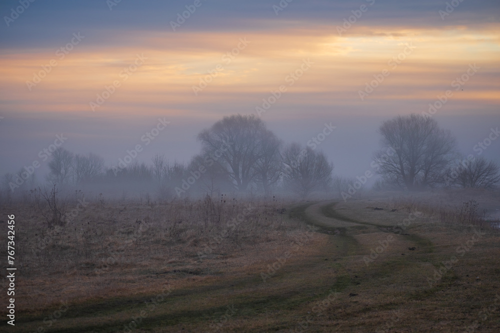 misty sunrise over the forest misty sunrise over the forest
