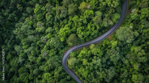 Forest Mountain Road