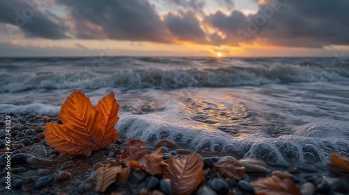 Autumn Whisper: Sunset by the Seashore