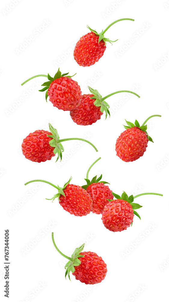Falling Wild strawberry isolated on white background, full depth of field Falling Wild strawberry isolated on white background, full depth of field